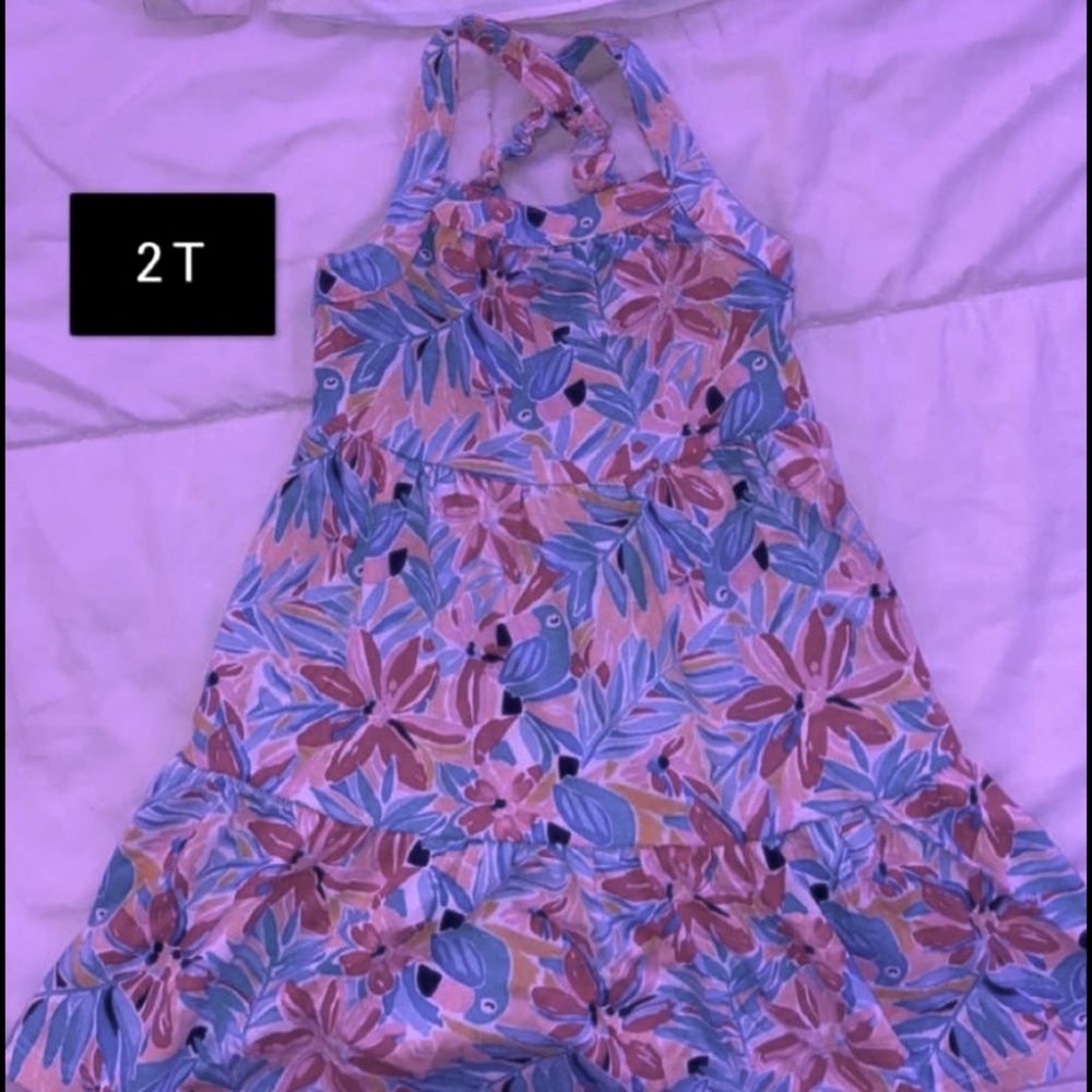 2T winter long sleeve and summer dress bundle